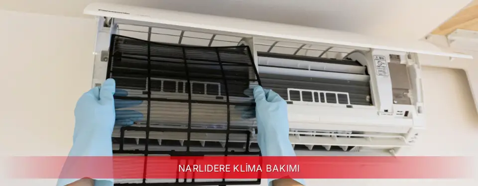 Narlıdere İlçemi ECA Klima Bakımı